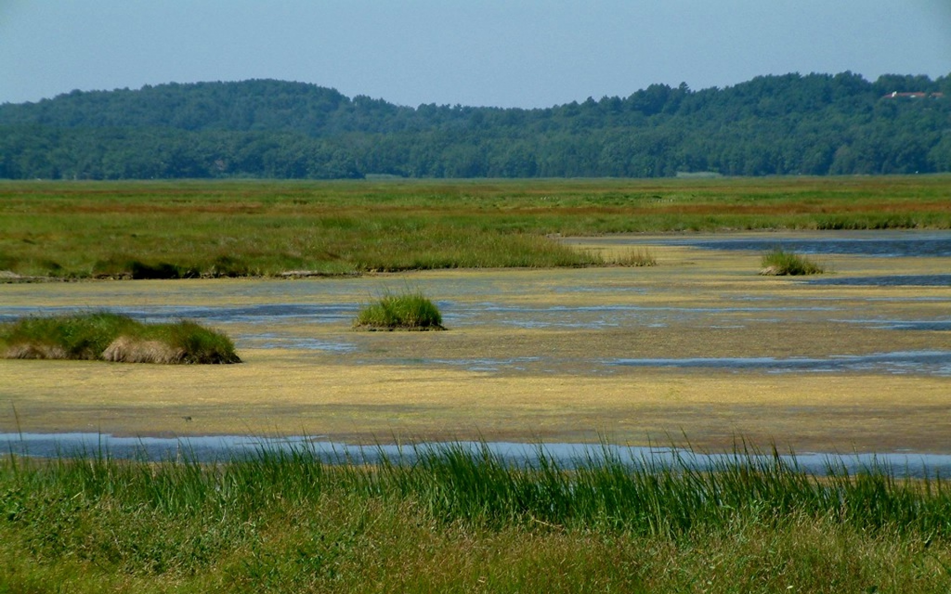 风景,自然风光,2012Y十一月11D,儿童桌面专用