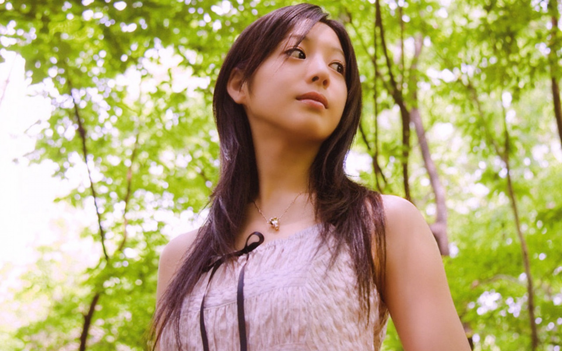 夏帆,Kaho明星,美女,2012Y十一月13D