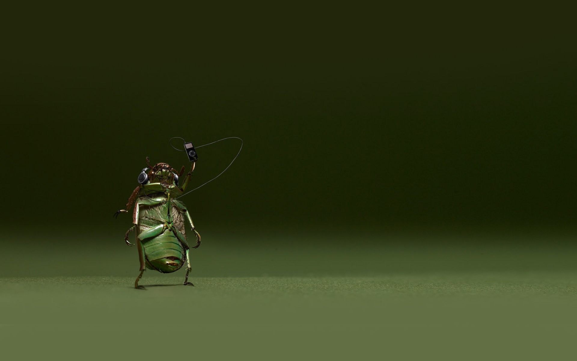 搞笑,幽默,宽屏,设计,2012Y十一月04D