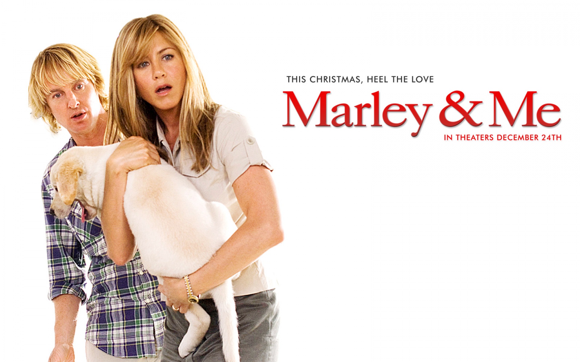 电影,影视,2012Y十一月08D