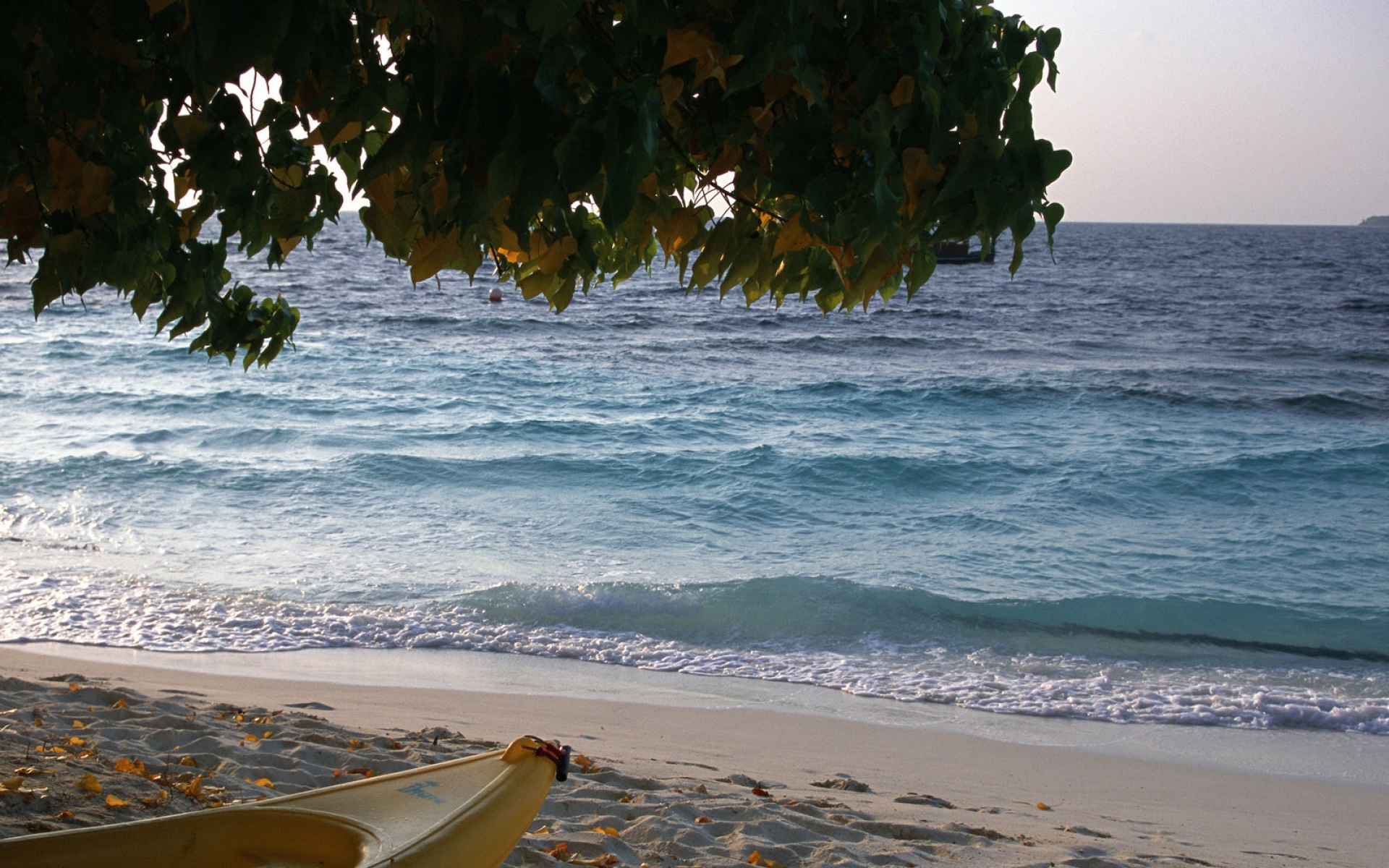 风景,海洋天堂,2012Y十一月10D,儿童桌面专用