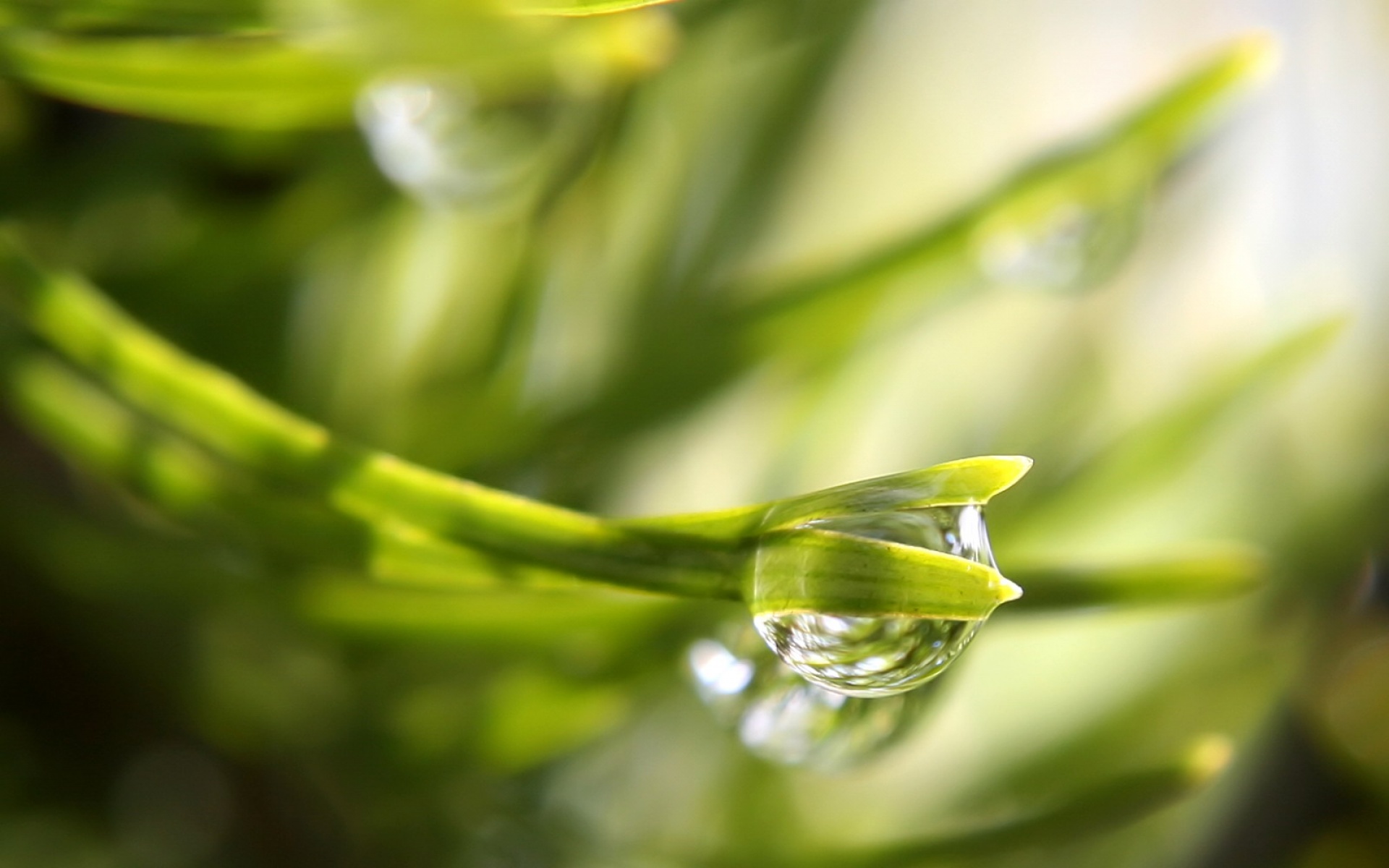 小清新,护眼壁纸,儿童桌面专用