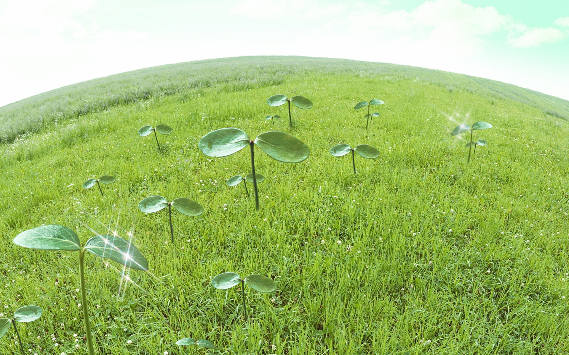 小清新,护眼壁纸,绿色,儿童桌面专用