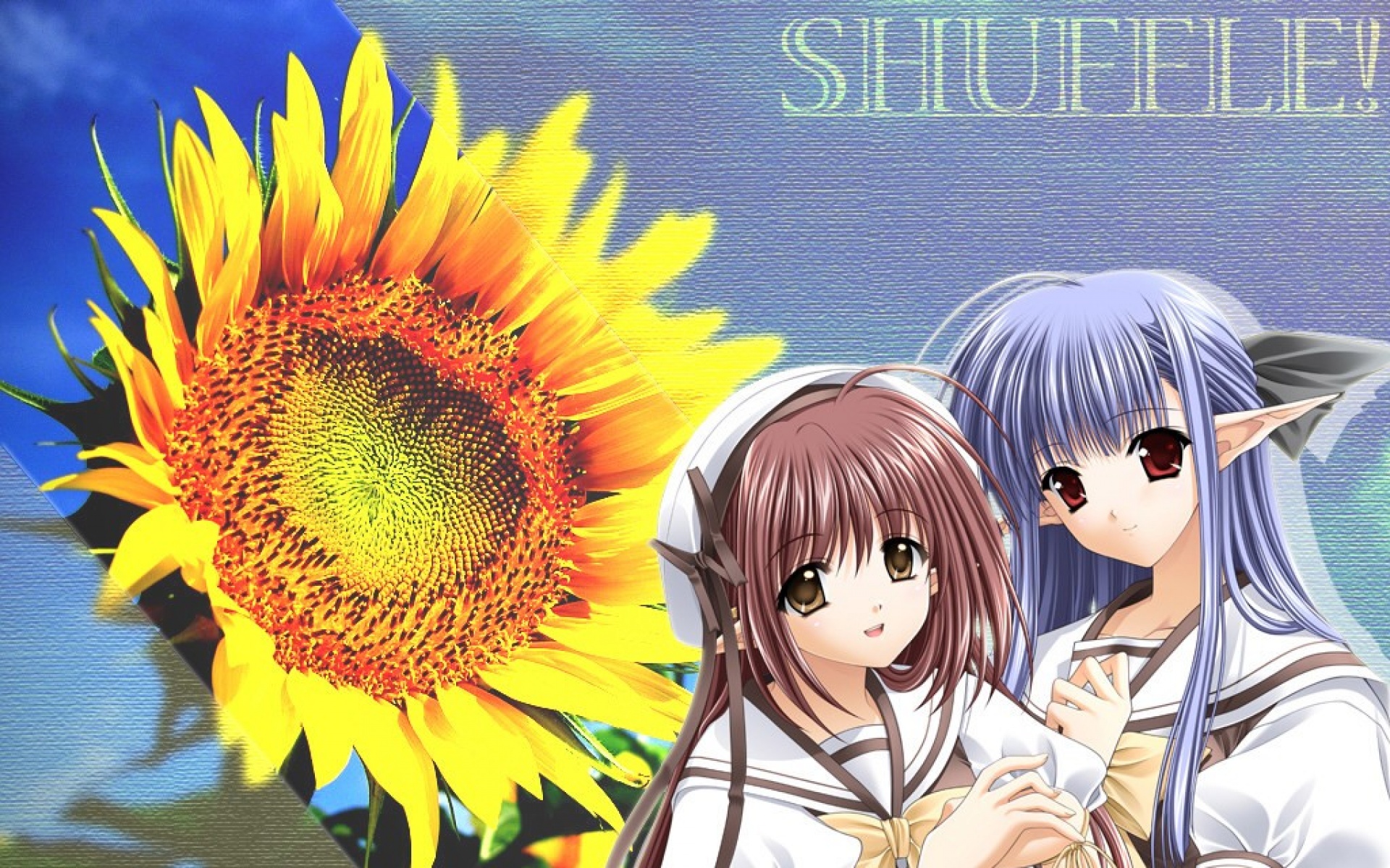 SHUFFLE,游戏,2012Y十一月21D