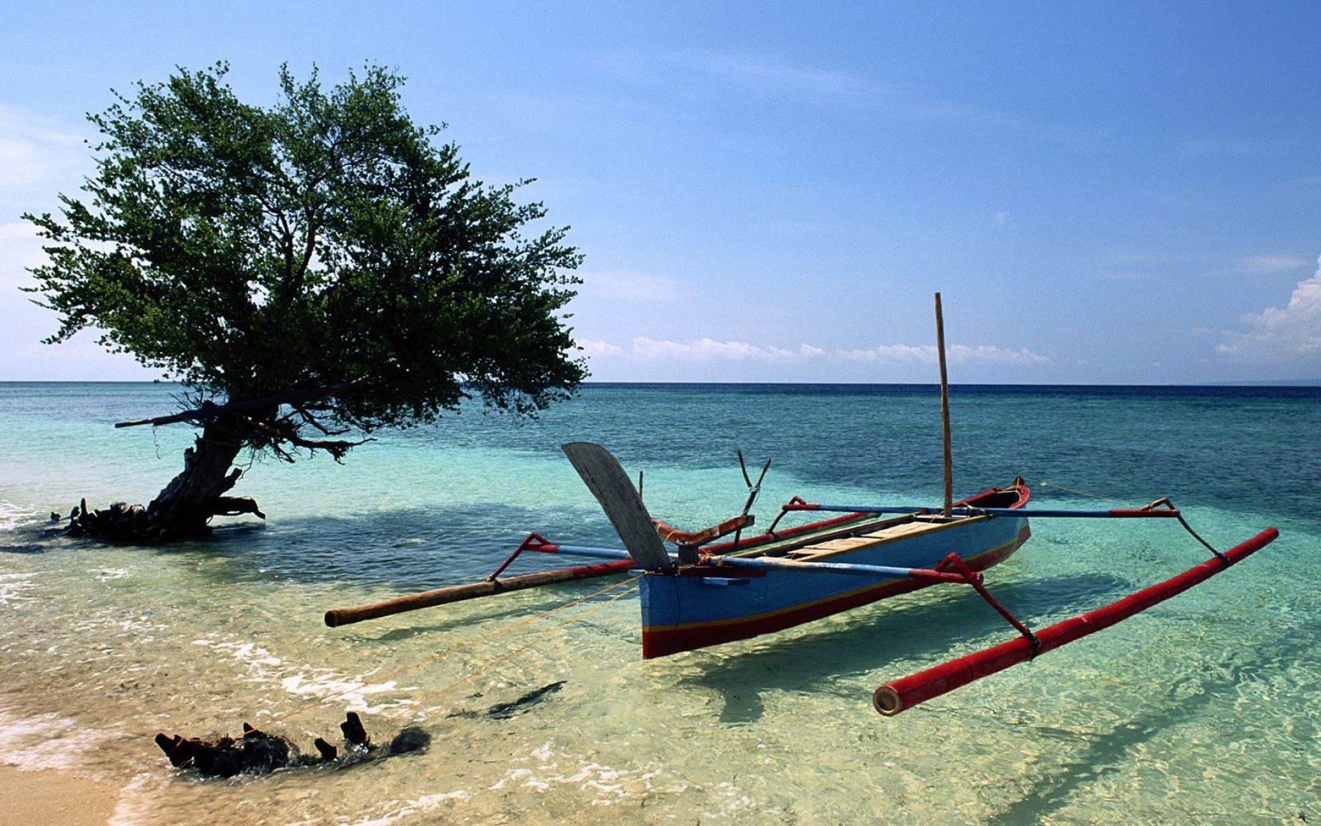 风景,海洋天堂,2012Y十一月04D,儿童桌面专用