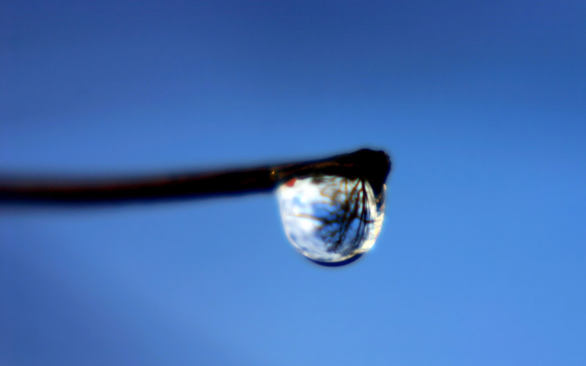 小清新,清新淡雅,淡雅,水珠