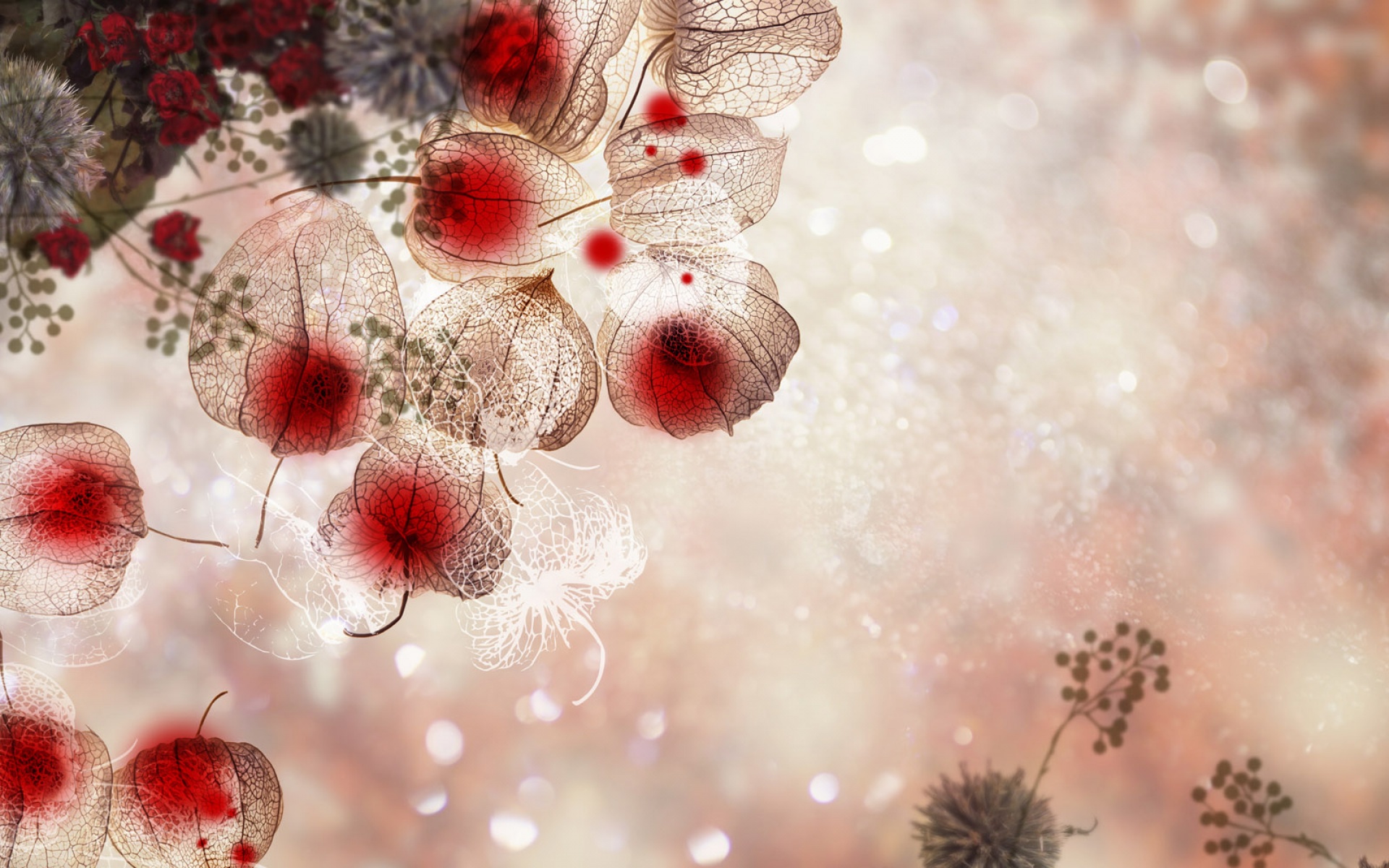 炫彩,儿童桌面专用