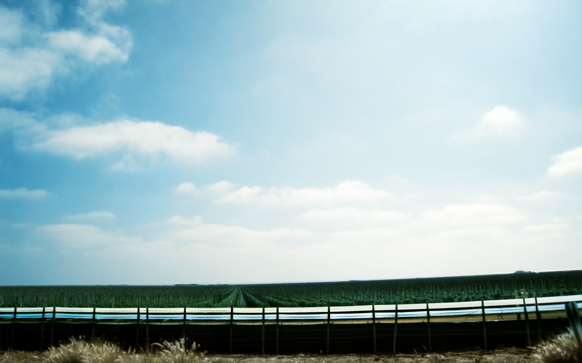 风景,蓝天白云,2012Y十月31D,儿童桌面专用