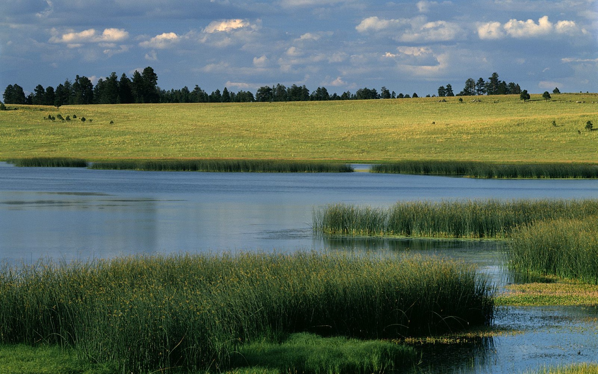 风景,自然风光,2012Y十一月11D,儿童桌面专用