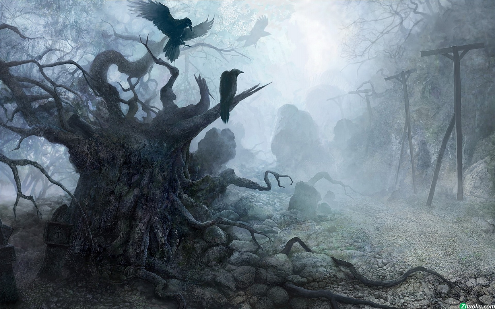 巫师,游戏,2012Y十一月12D