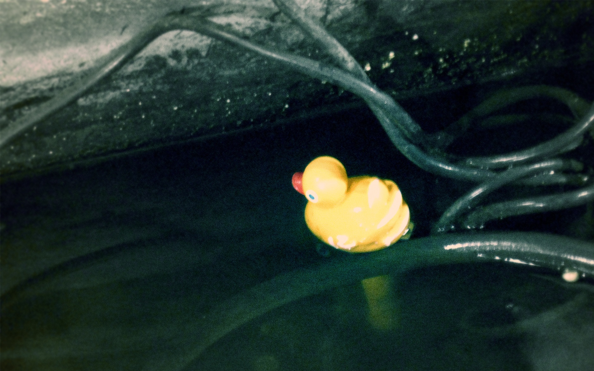 精品,经典,实物,摄影,电脑,PS,宽屏,2012Y十月31D,儿童桌面专用