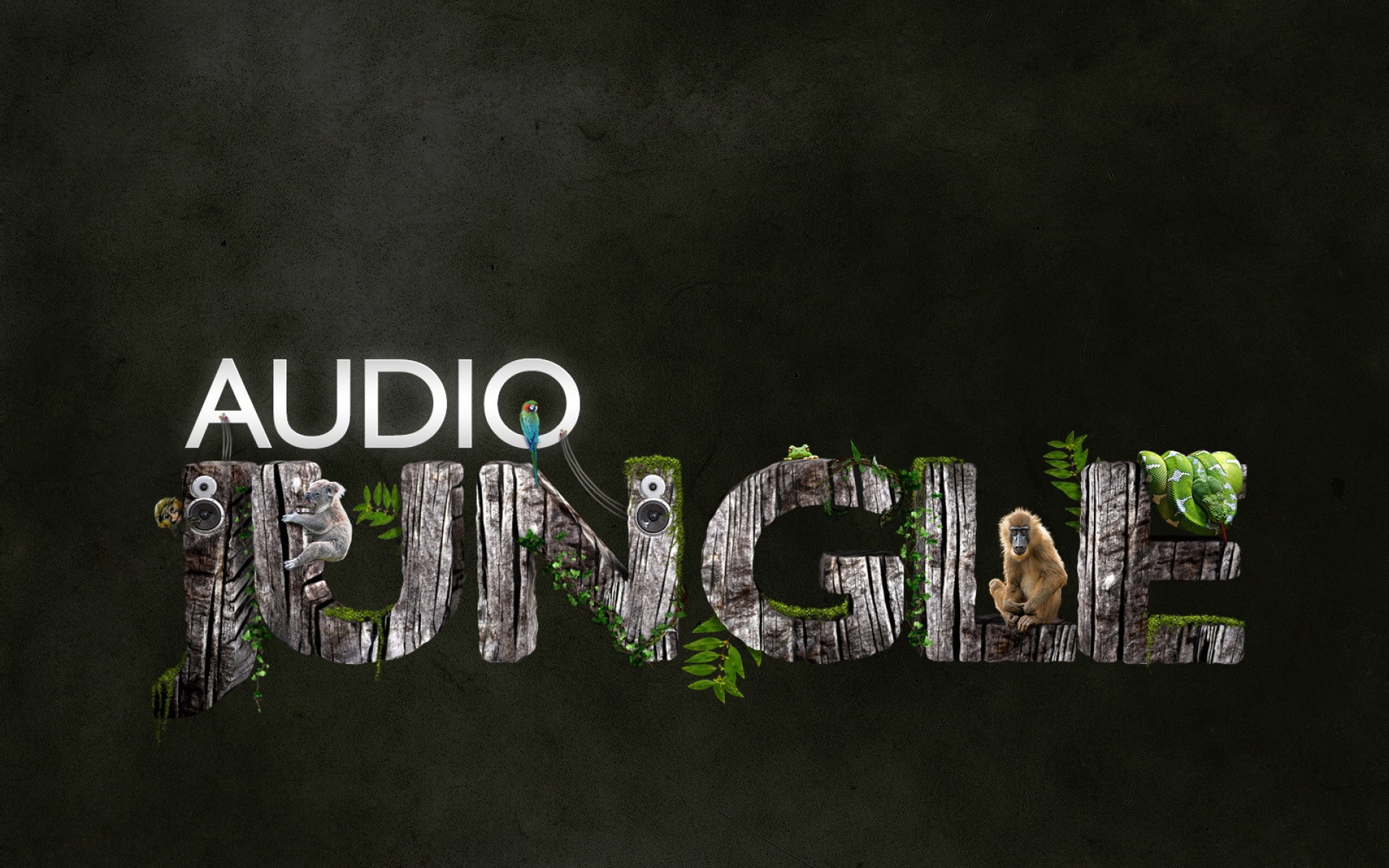 音乐,丛林,设计,高清,2012Y十一月05D,儿童桌面专用