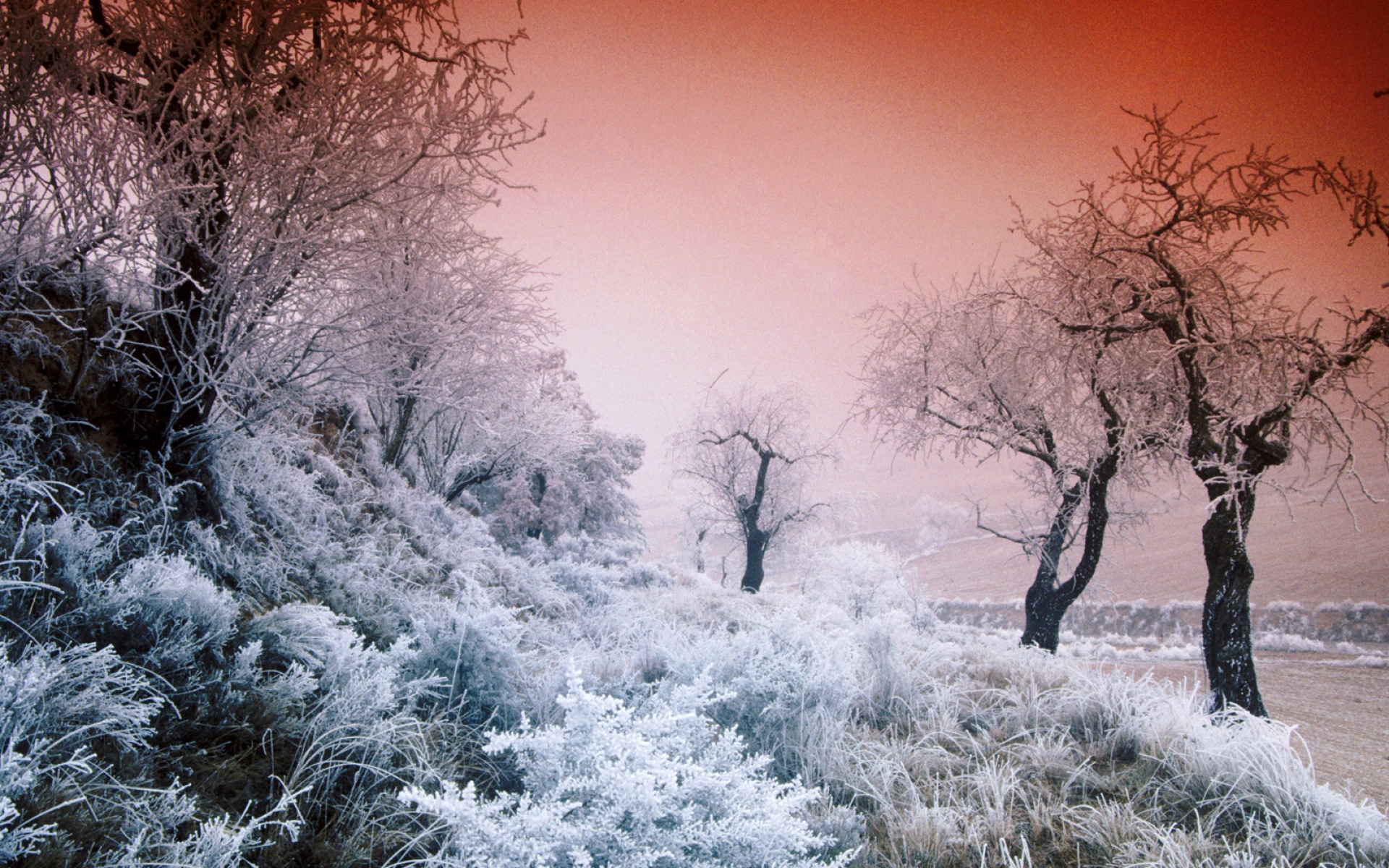 风景,冰天雪地,2012Y十月31D,儿童桌面专用