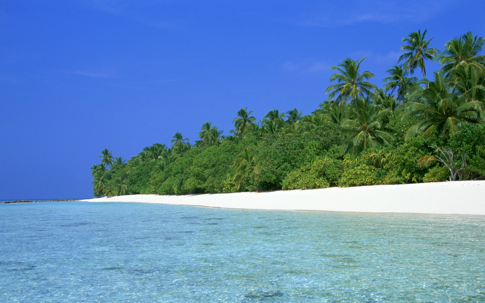 风景,海洋天堂,2012Y十一月11D,儿童桌面专用