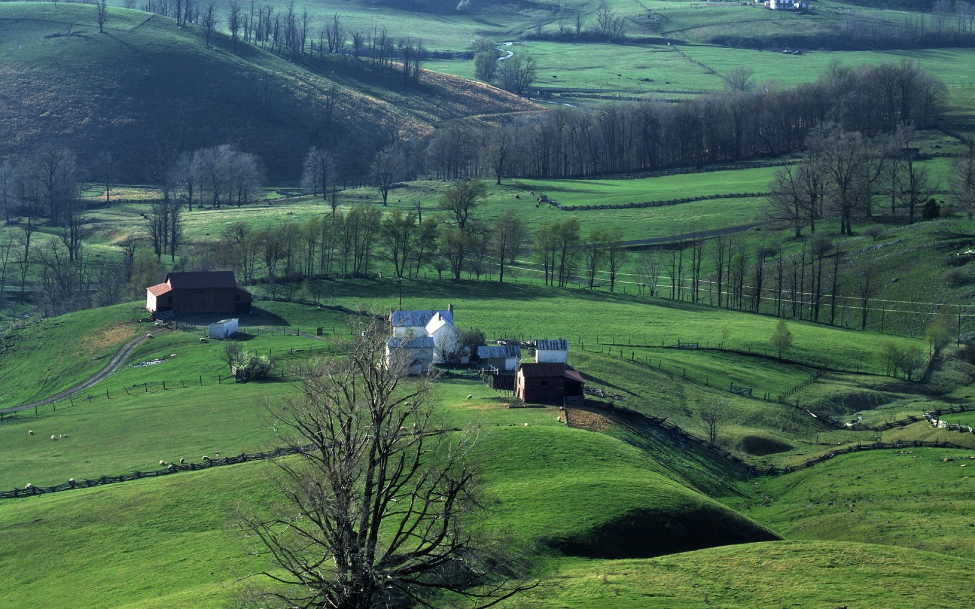 风景,自然风光,2012Y十一月11D,儿童桌面专用
