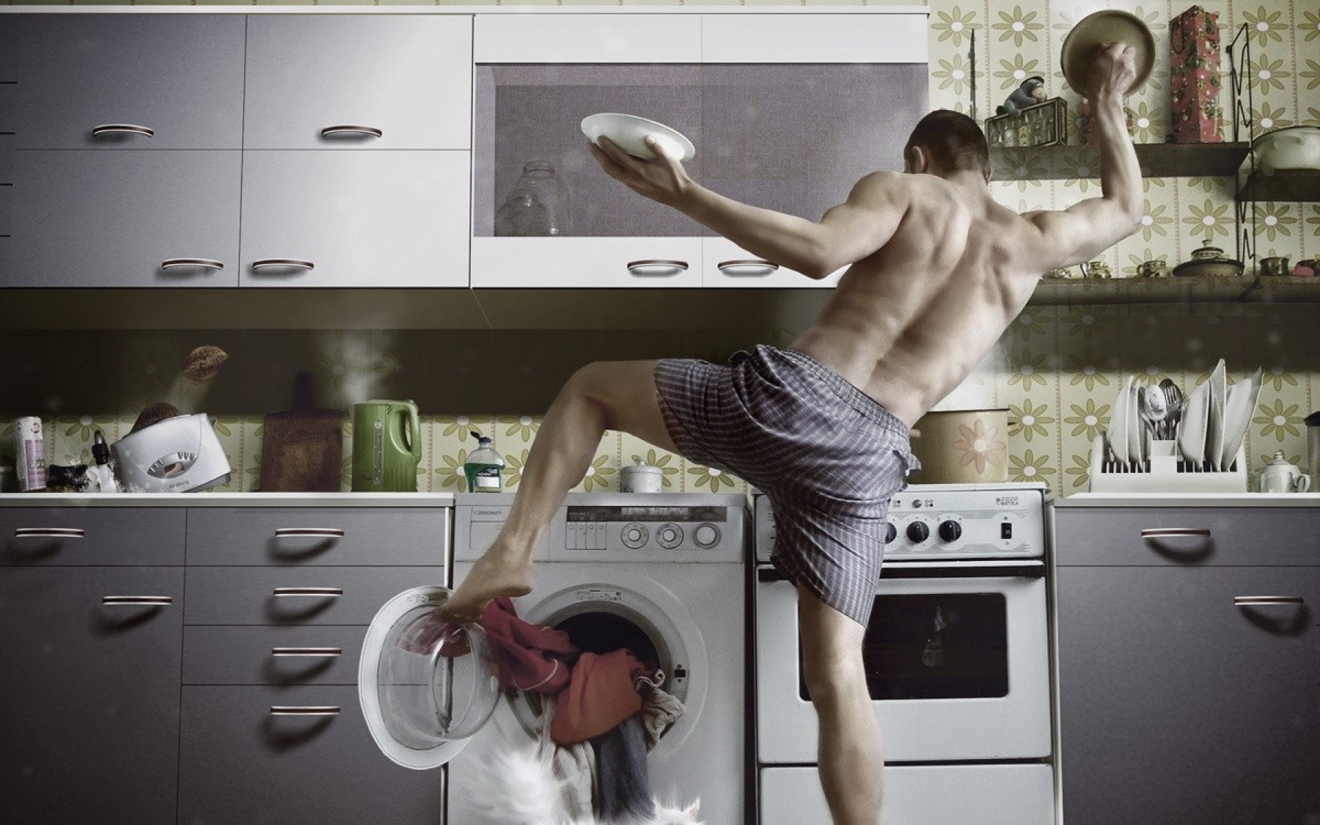 俄罗斯,FIERO,ANIMALS,设计,作品,创意,2012Y十一月03D