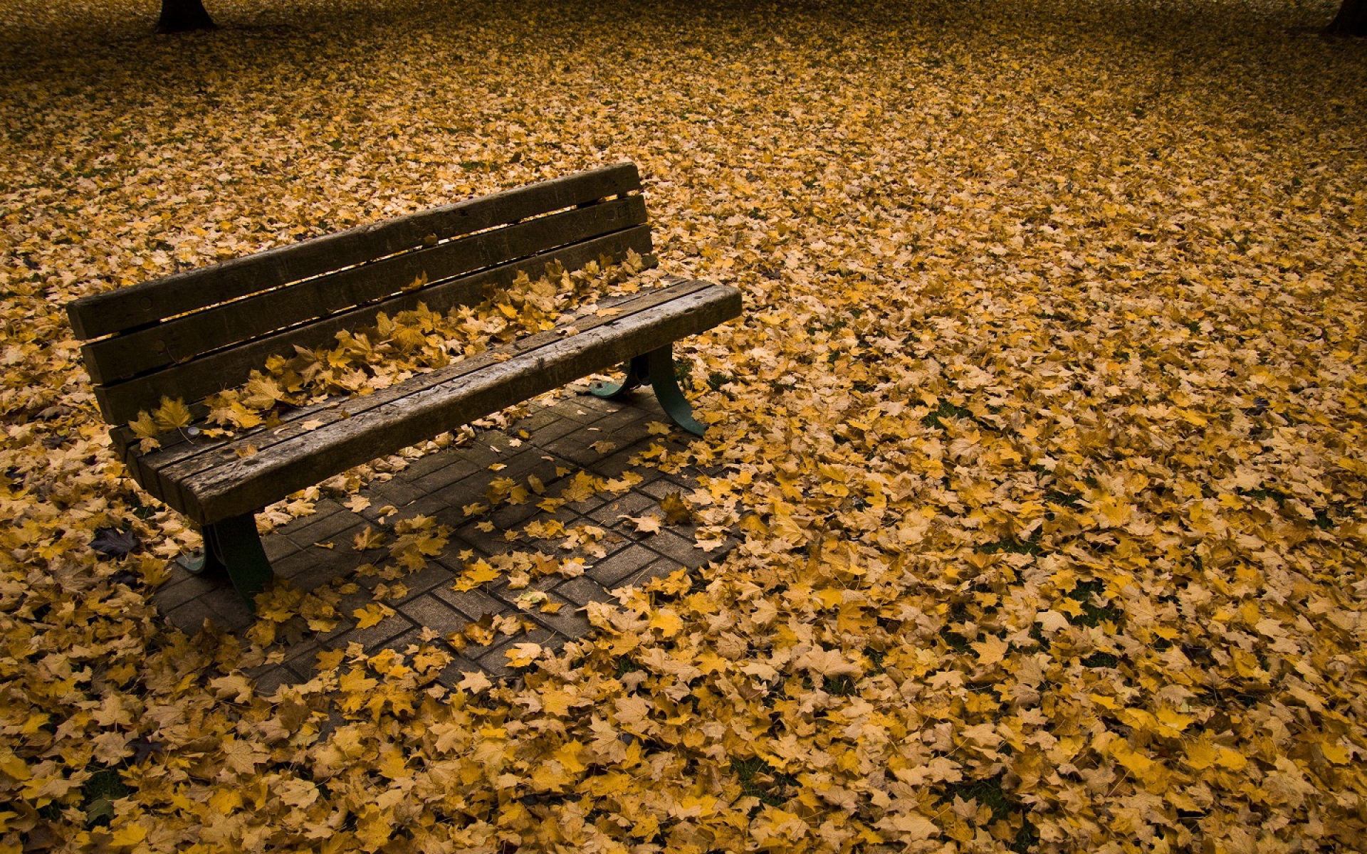 风景,秋意正浓,2012Y十月31D,儿童桌面专用