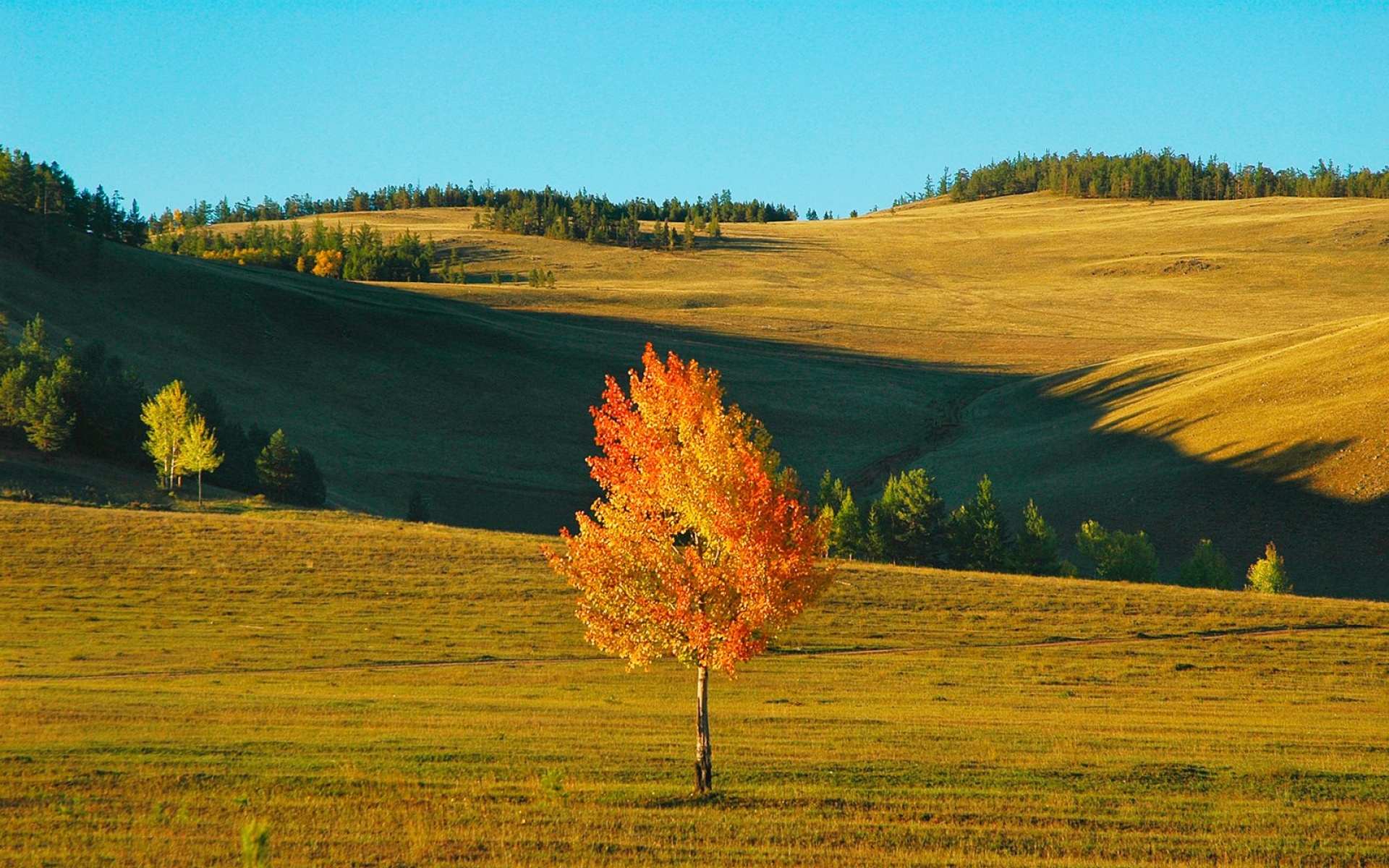 风景,落日余晖,2012Y十一月04D,儿童桌面专用
