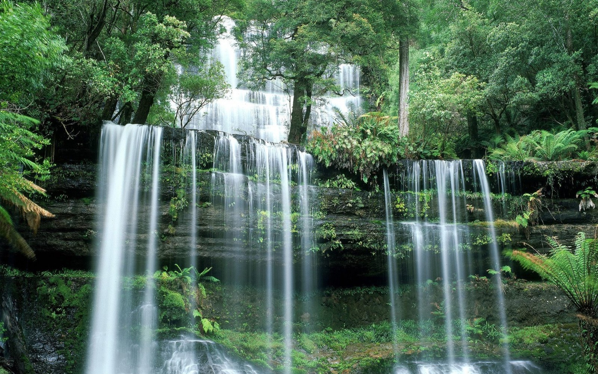 风景,自然风光,2012Y十一月11D,儿童桌面专用