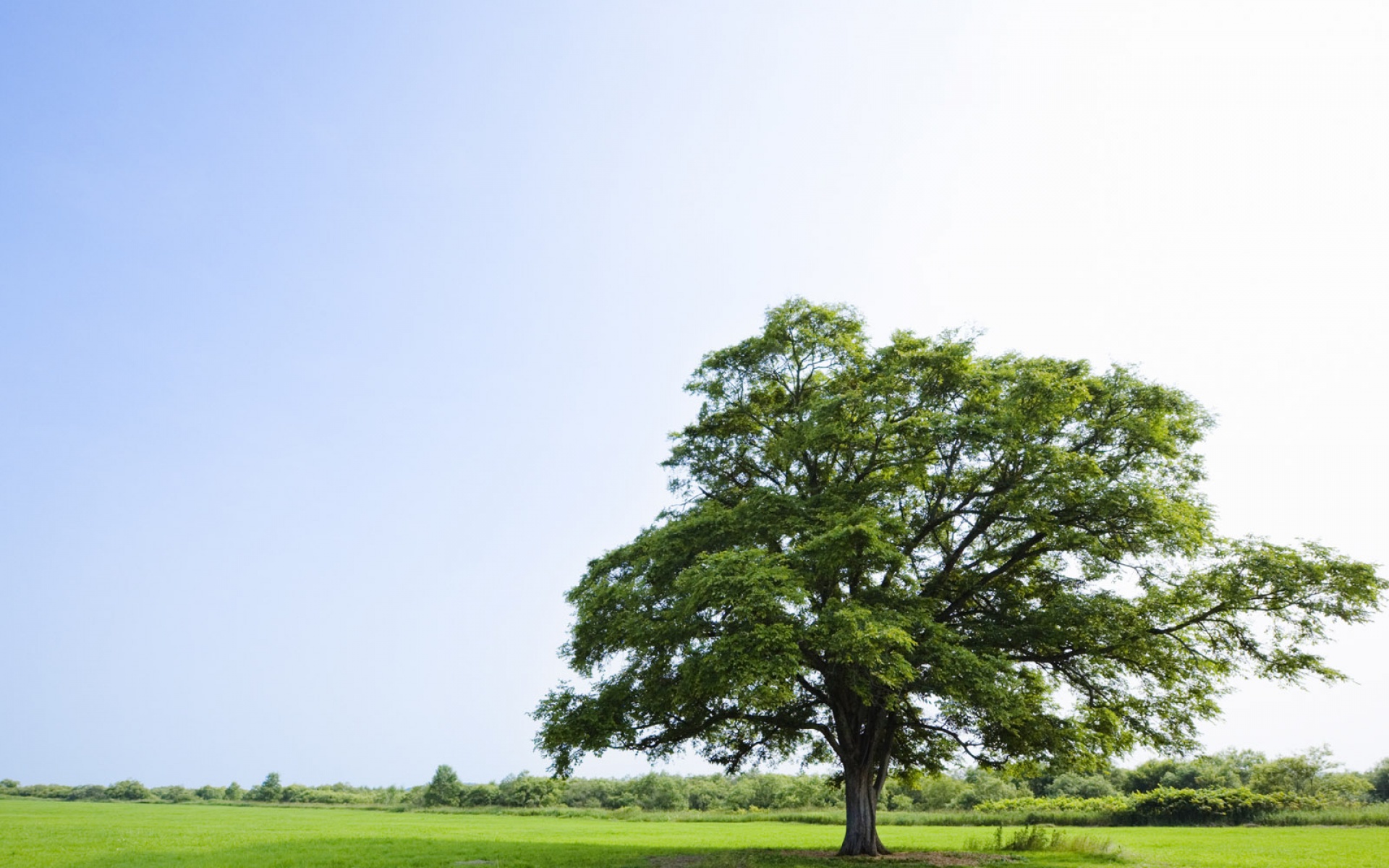 风景,自然风光,2012Y十一月10D,儿童桌面专用