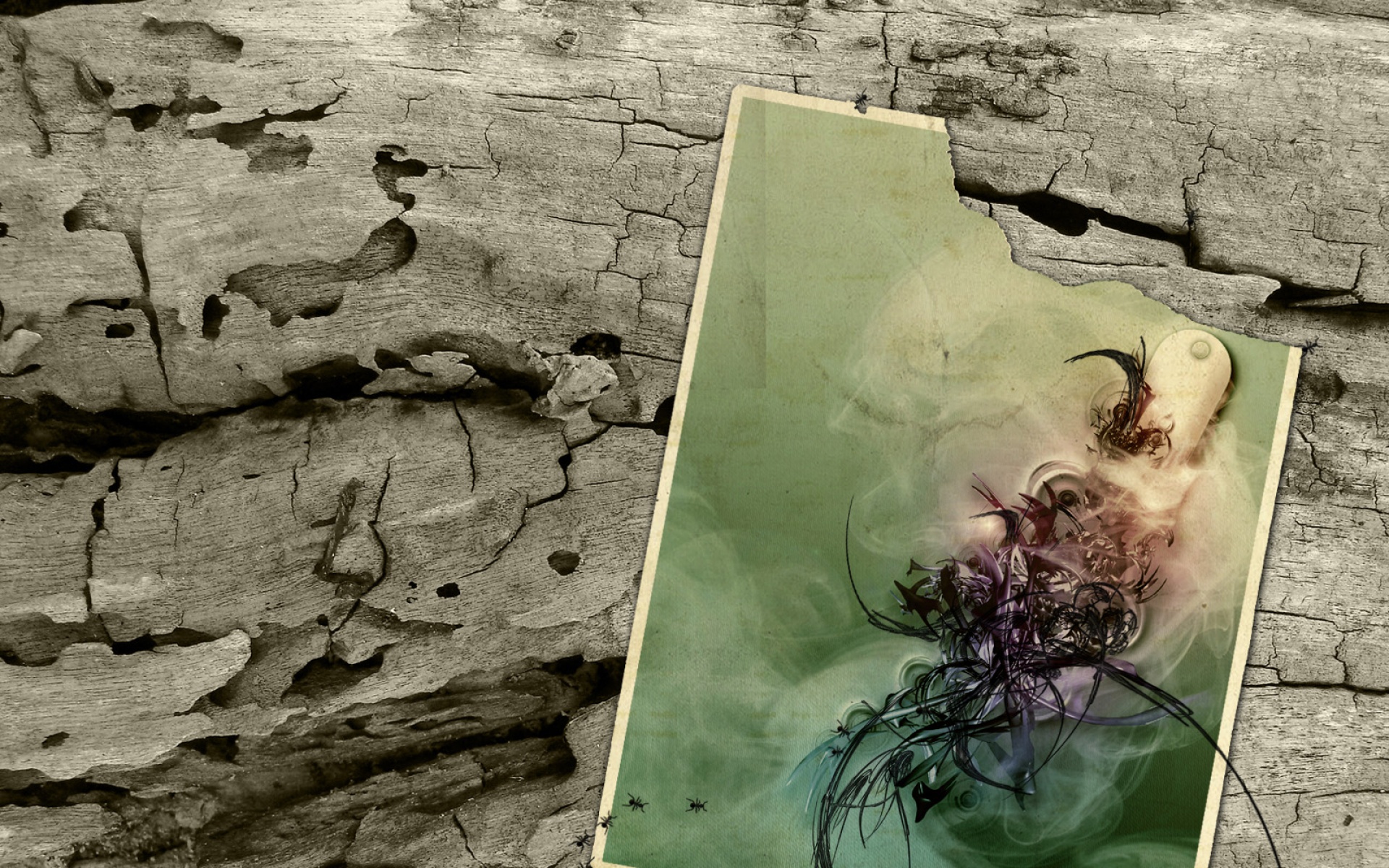 简约,黑色,儿童桌面专用