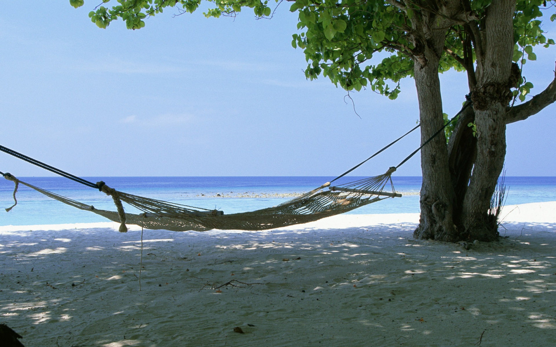 风景,海洋天堂,2012Y十一月12D,儿童桌面专用