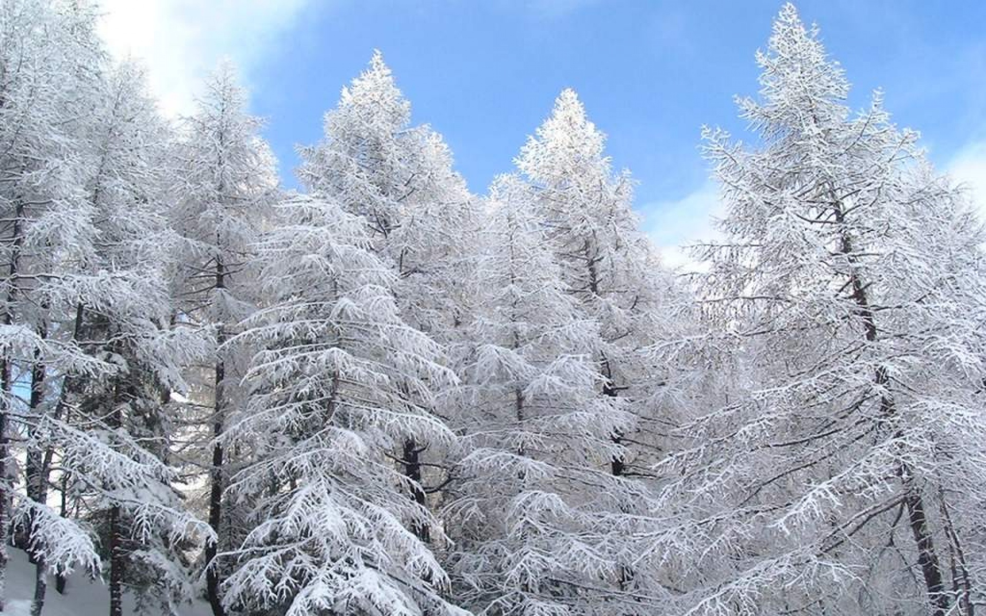 风景,冰天雪地,2012Y十一月04D,儿童桌面专用