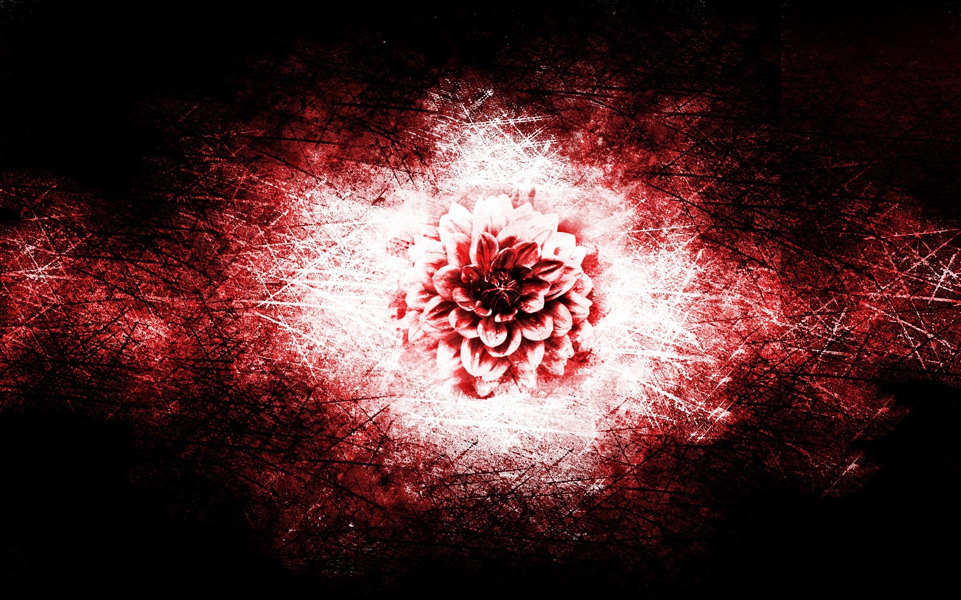 插画,设计,2012Y十一月09D,创意,儿童桌面专用