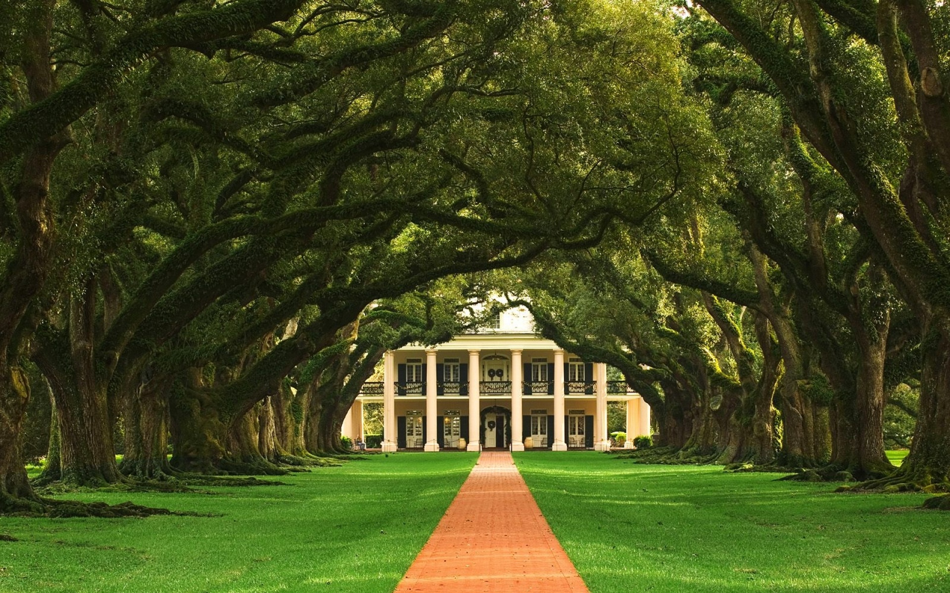 风景,自然风光,2012Y十一月11D,儿童桌面专用