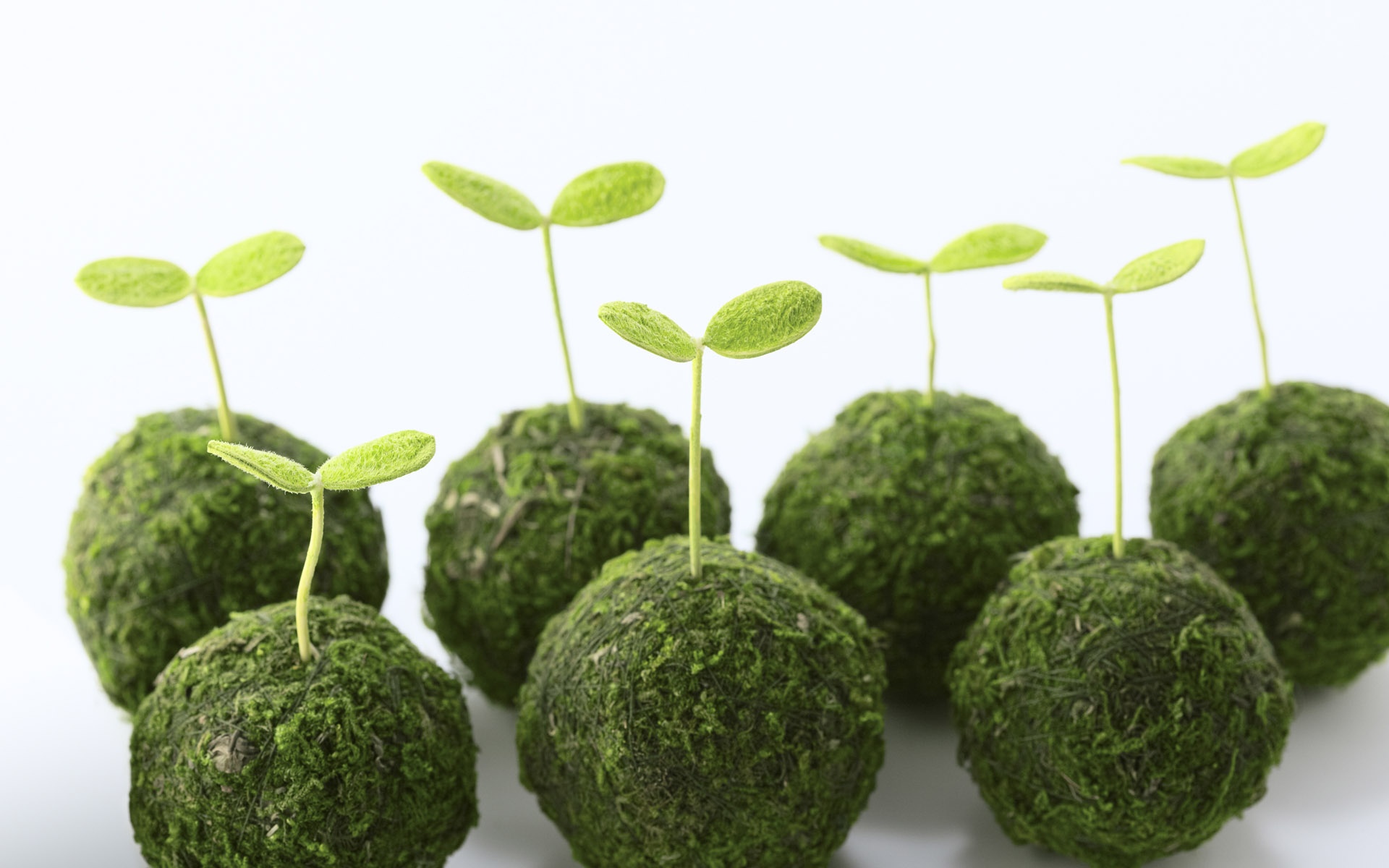 小清新,护眼壁纸,绿色,儿童桌面专用