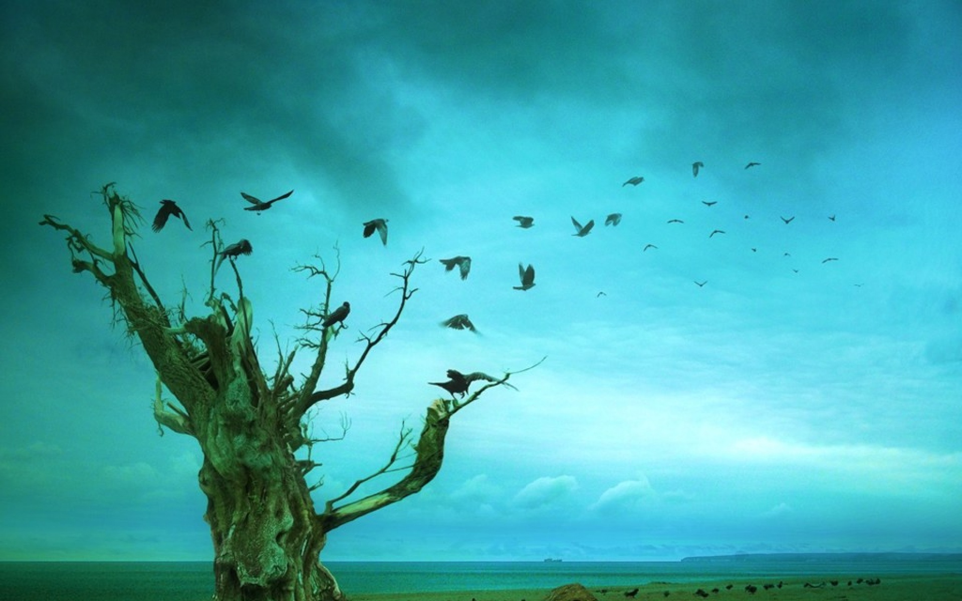 魔幻,世界,设计,精美,插画,2012Y十一月03D,创意,儿童桌面专用