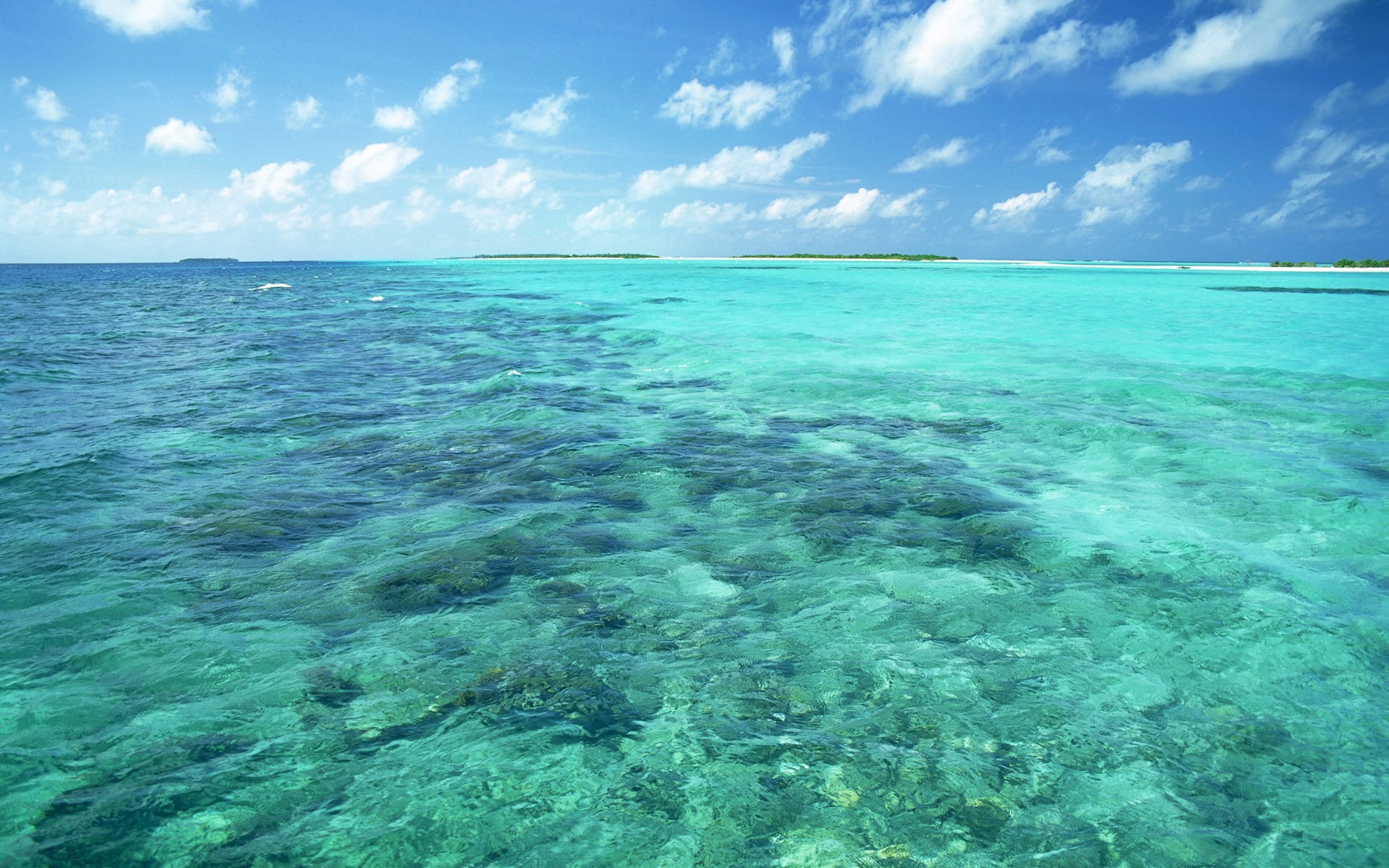 风景,海洋天堂,2012Y十一月10D,儿童桌面专用