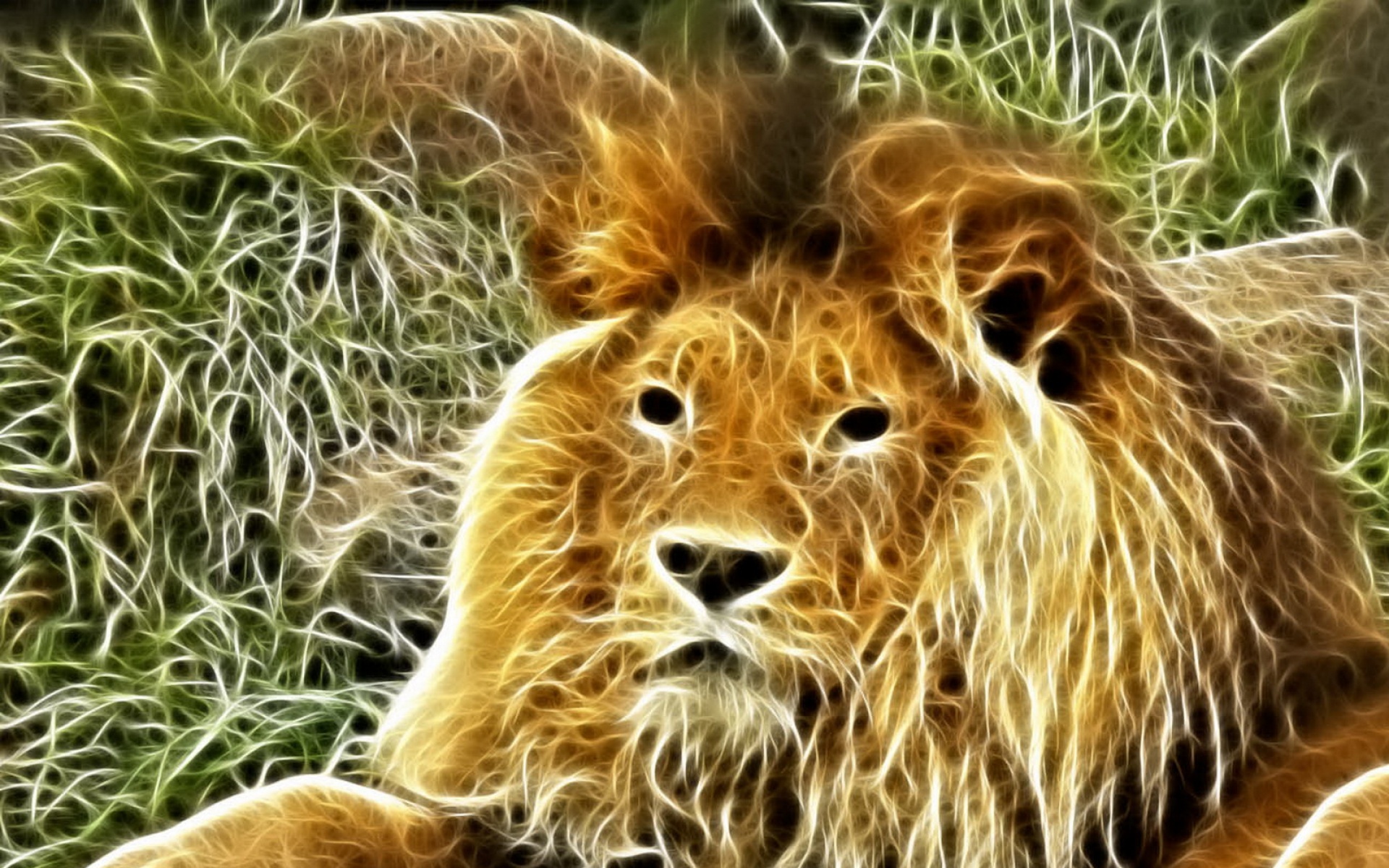 光线,描绘,猫科,动物,2012Y十一月04D,儿童桌面专用