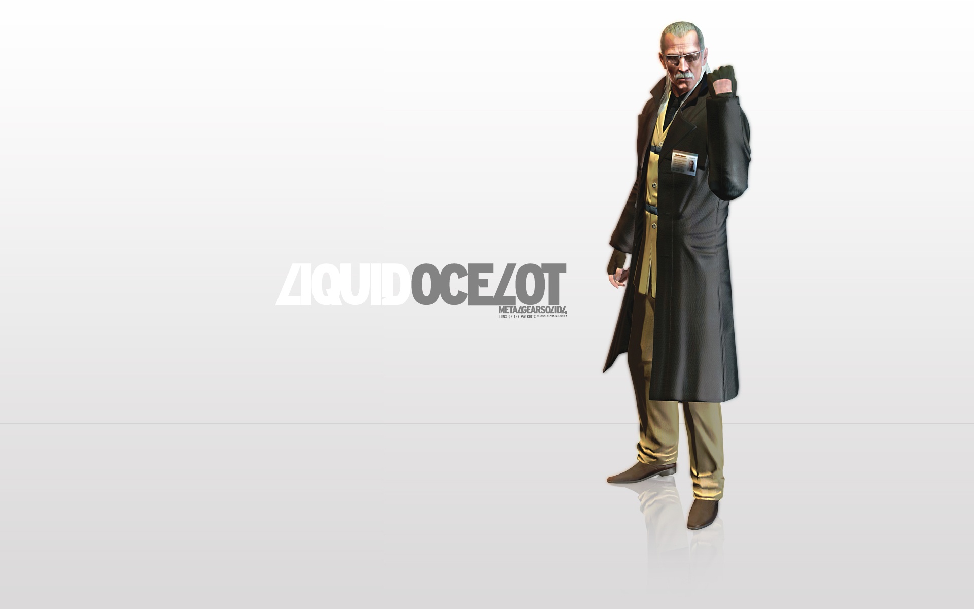 合金,装备,潜龙,谍影,游戏,2012Y十一月08D