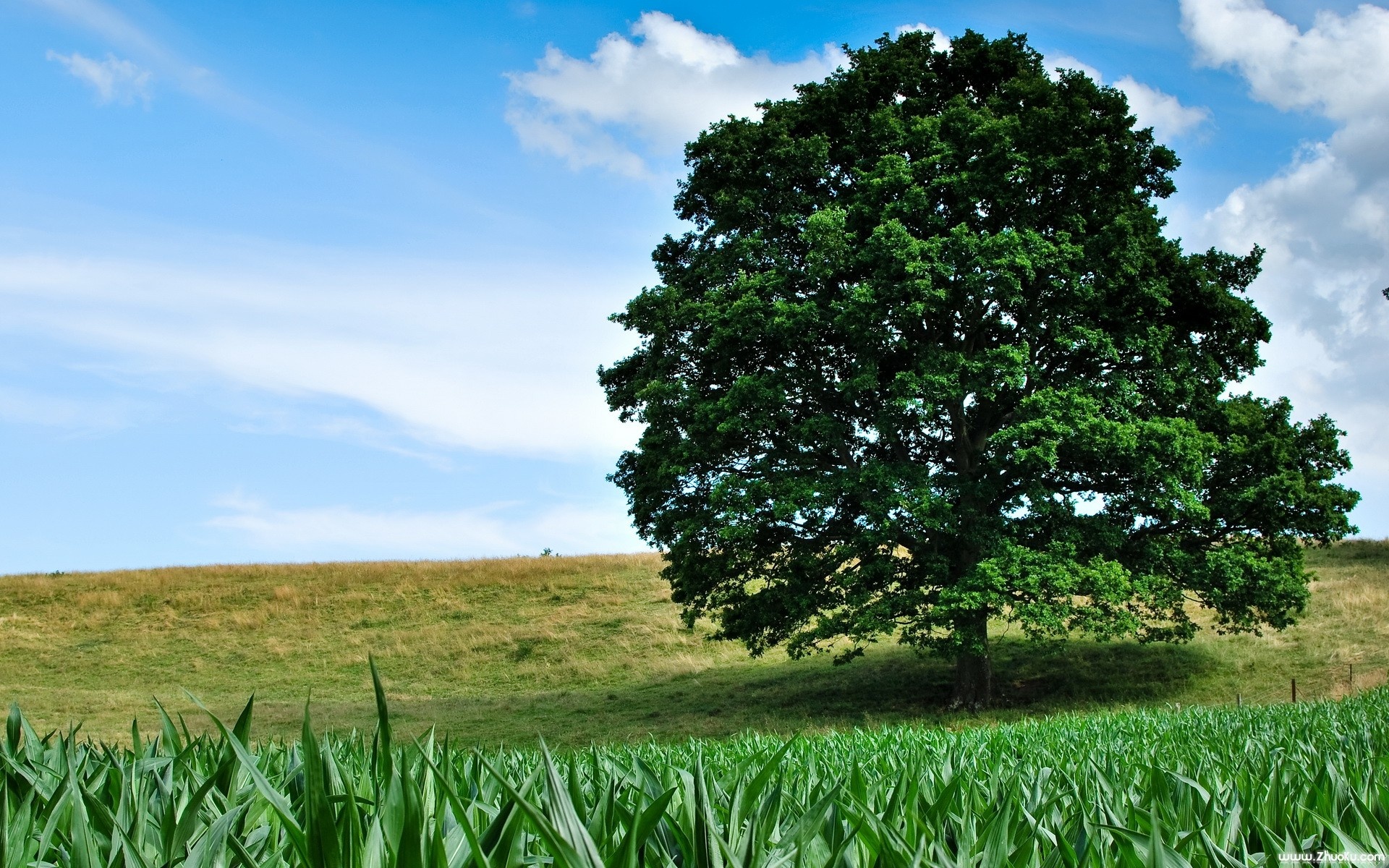 风景,自然风光,2012Y十一月04D,儿童桌面专用
