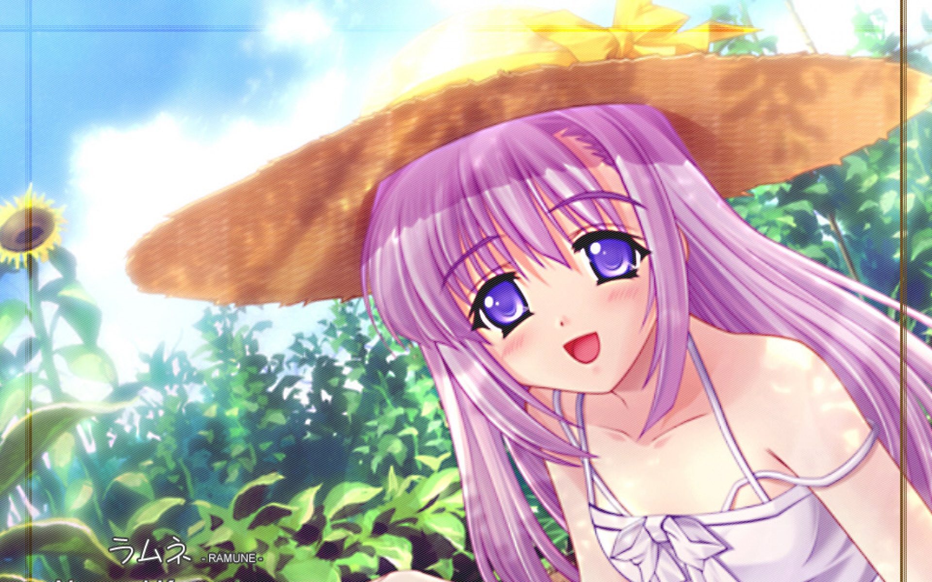 波子汽水,动漫,2012Y十一月21D