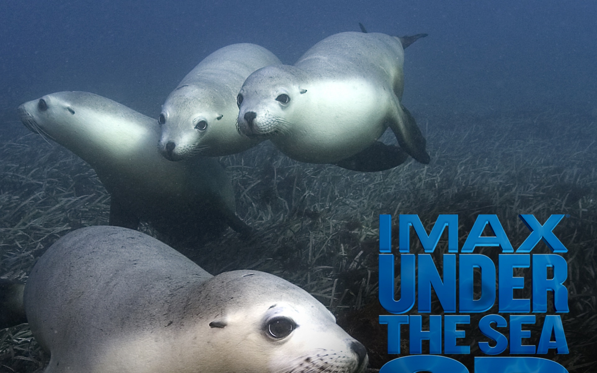 电影,影视,2012Y十一月08D