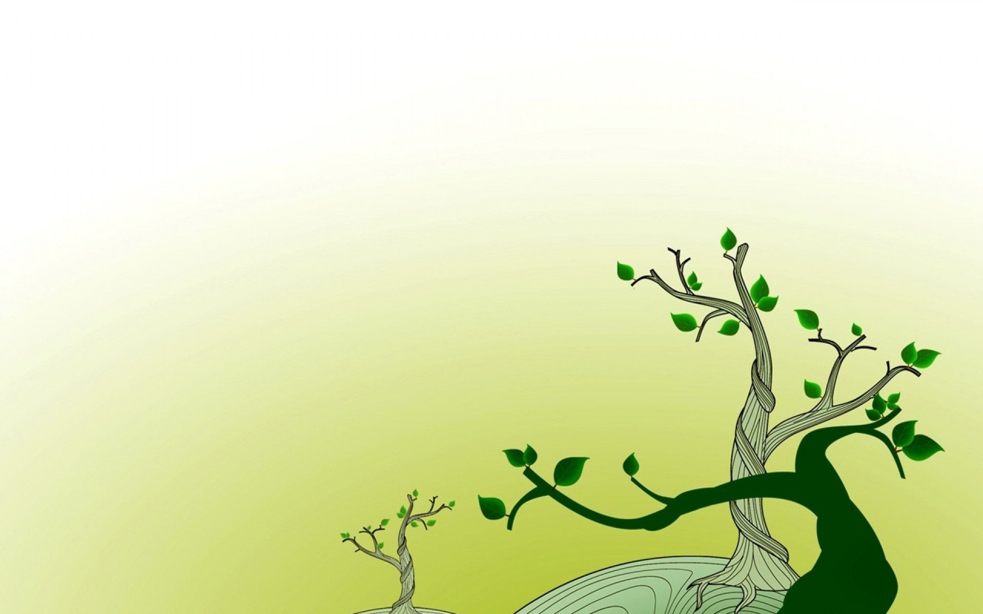 设计,简约,绿色,儿童桌面专用