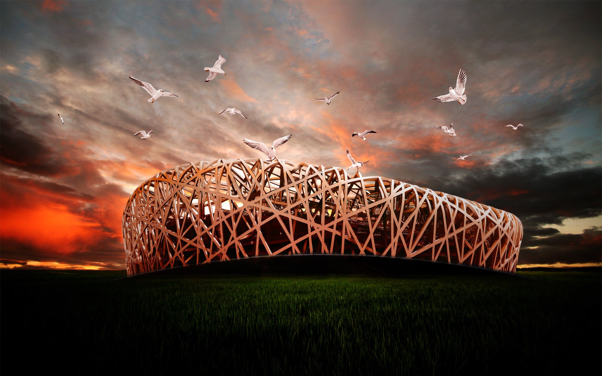 精美,电脑,设计,高清,2012Y十一月04D,儿童桌面专用