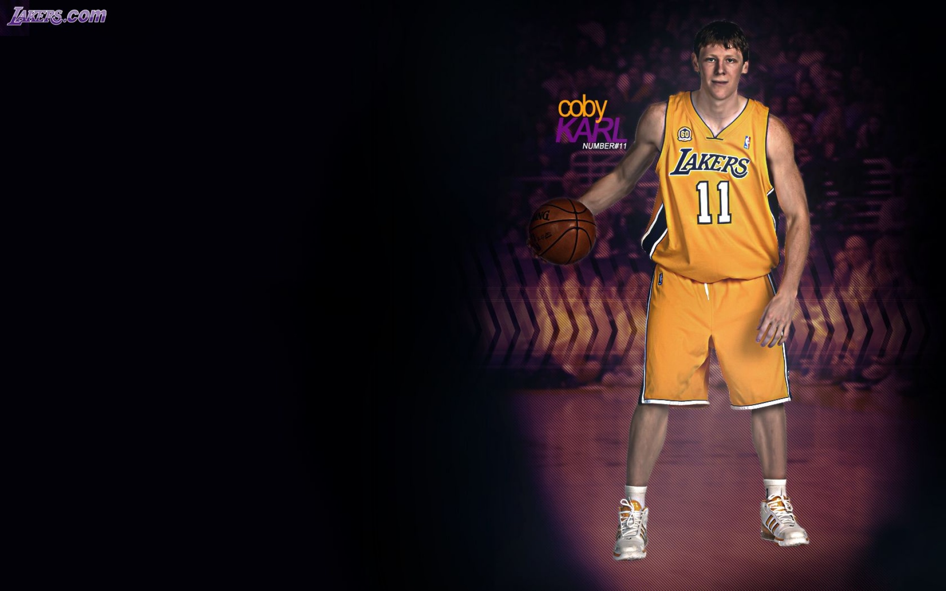 洛杉矶,湖人,体育,2012Y十一月11D