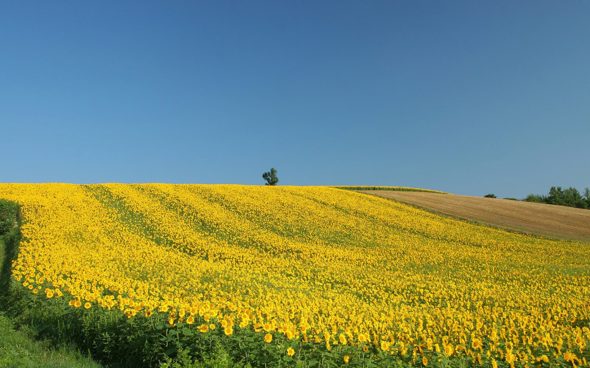 风景,自然风光,2012Y十一月05D,儿童桌面专用