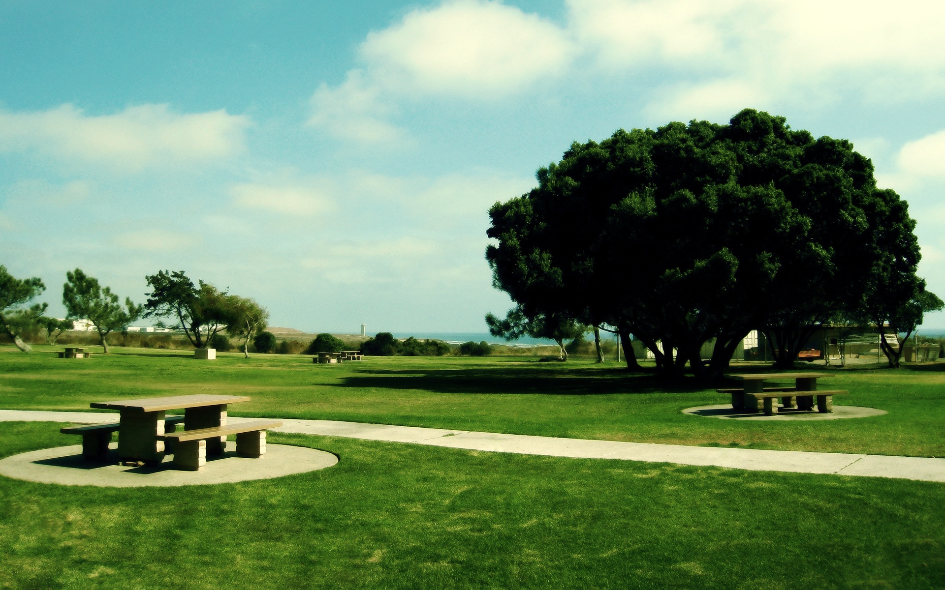 风景,夏日炎炎,儿童桌面专用