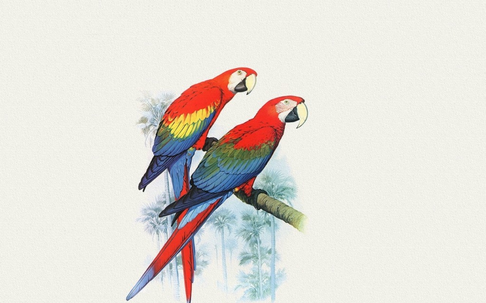 动物,绘画,风格,2012Y十一月04D,儿童桌面专用