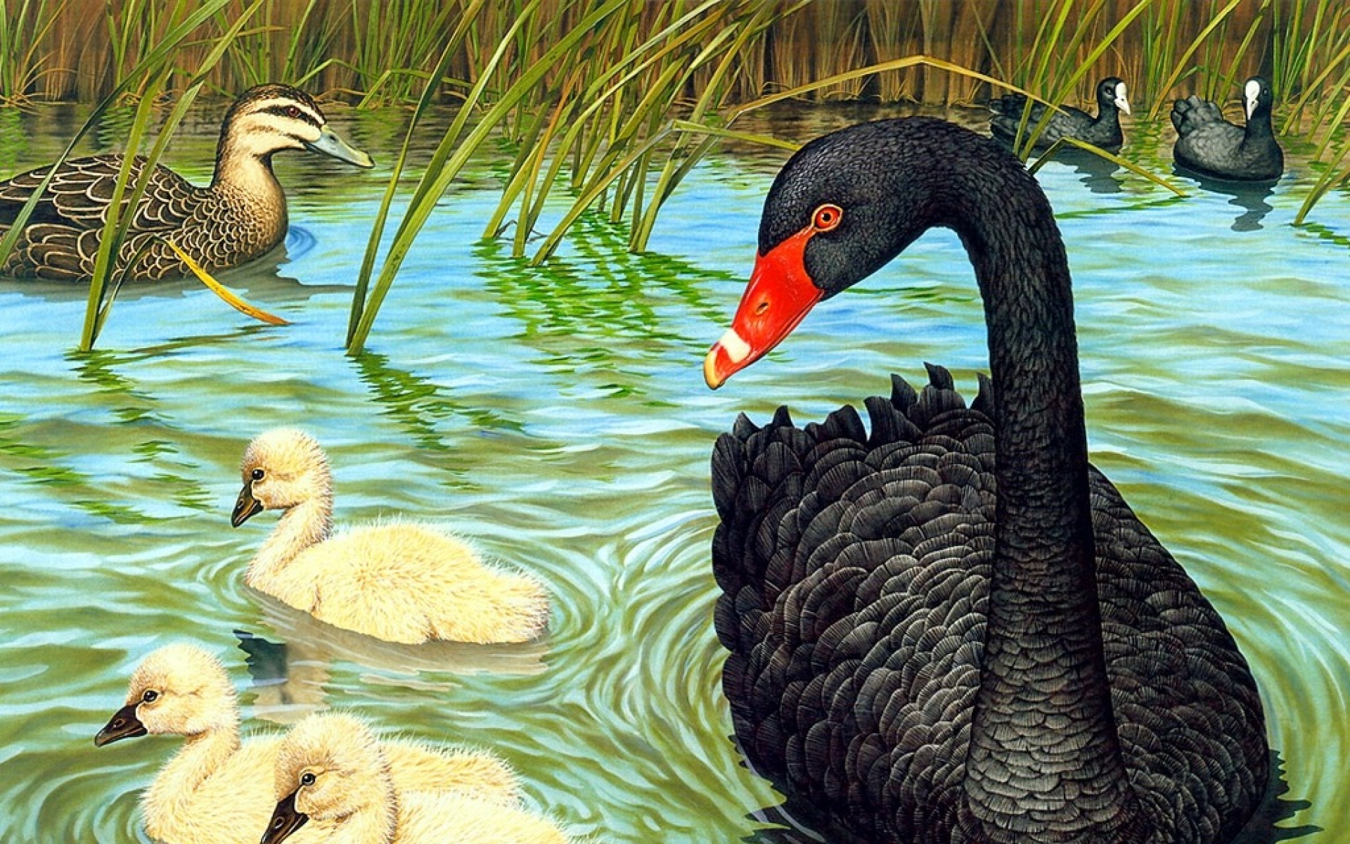 动物,绘画,风格,2012Y十一月04D,儿童桌面专用