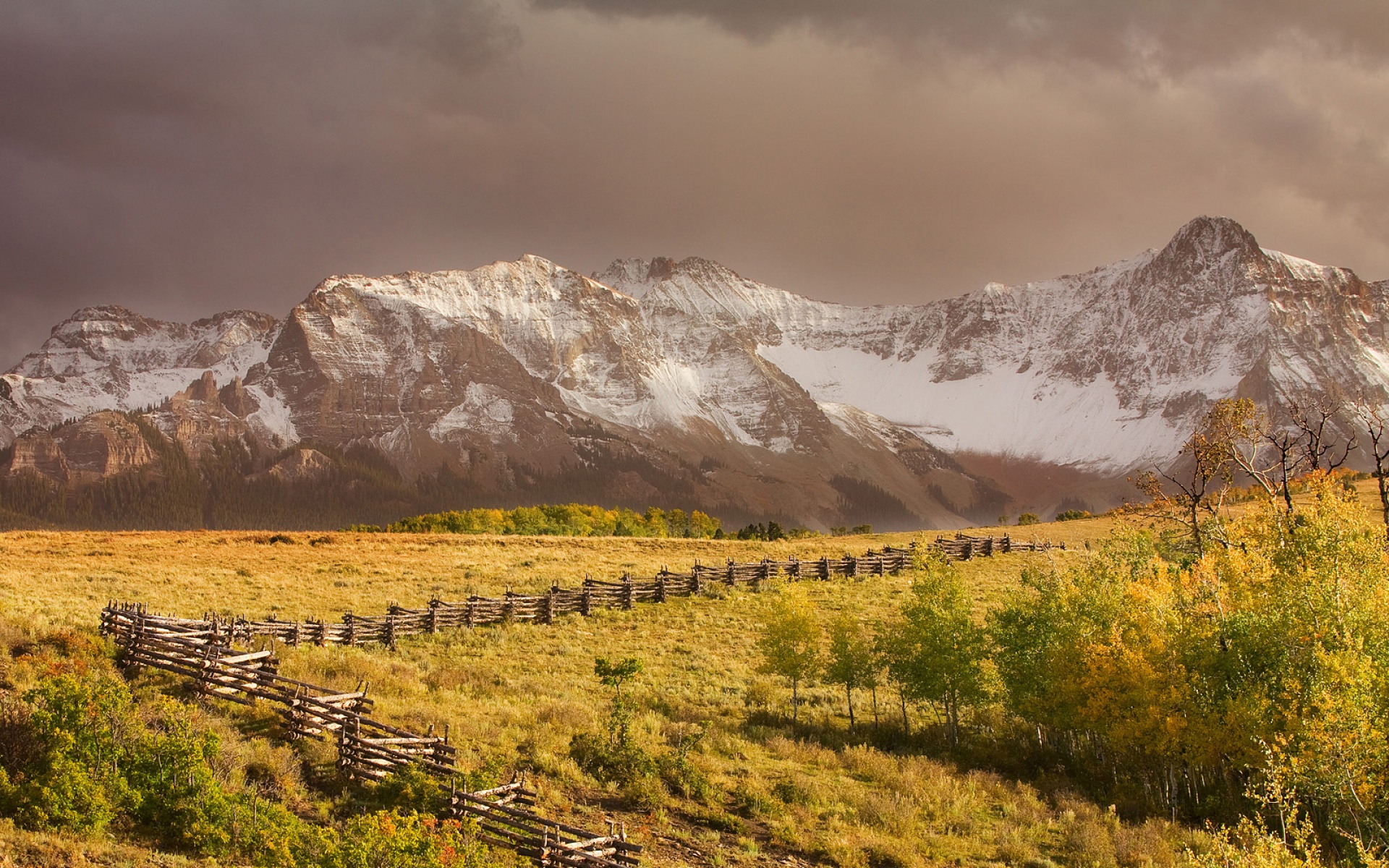 Webshots,2010年,十一月,精美,风光,动物,摄影,2012Y十月31D,儿童桌面专用