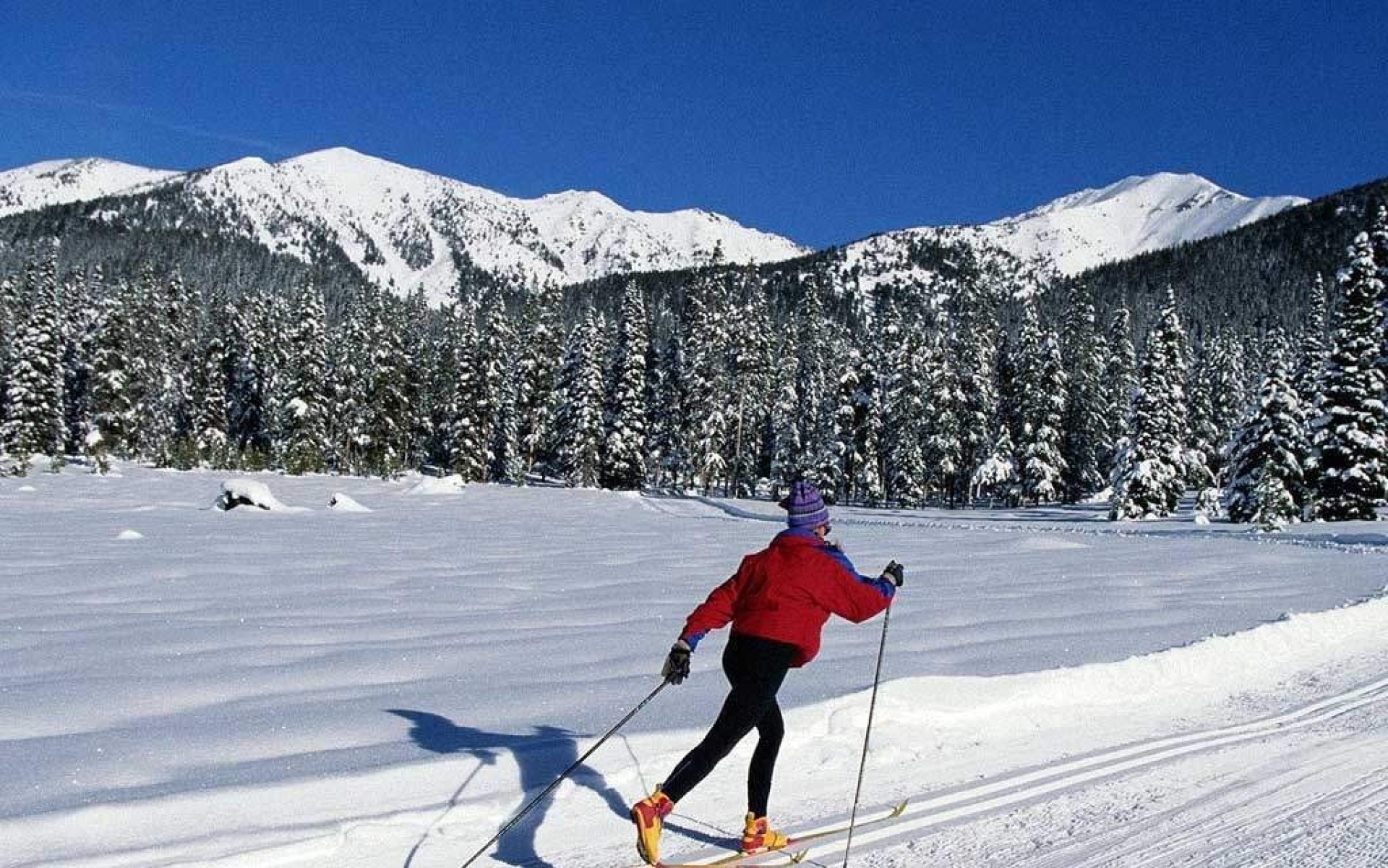 运动,之美,2012Y十一月22D