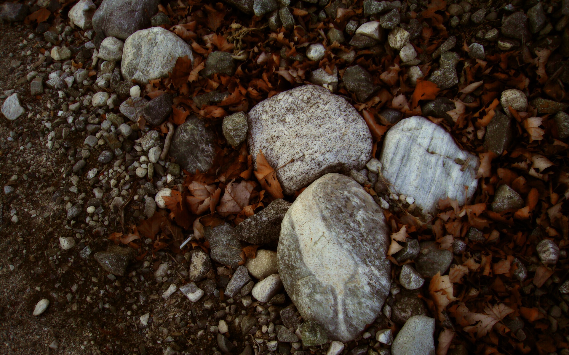 精品,经典,实物,摄影,电脑,PS,宽屏,2012Y十月31D