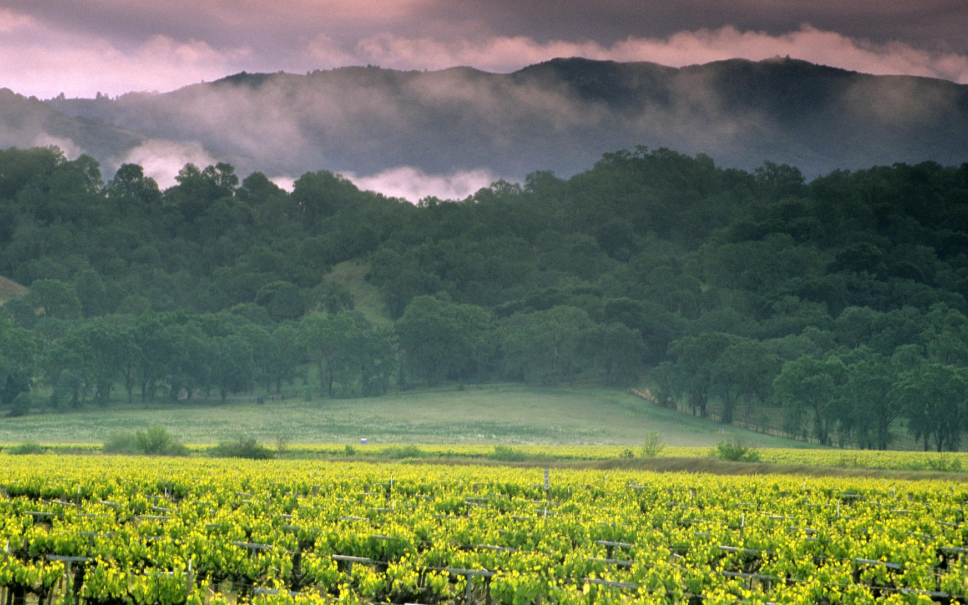 风景,自然风光,2012Y十一月04D,儿童桌面专用