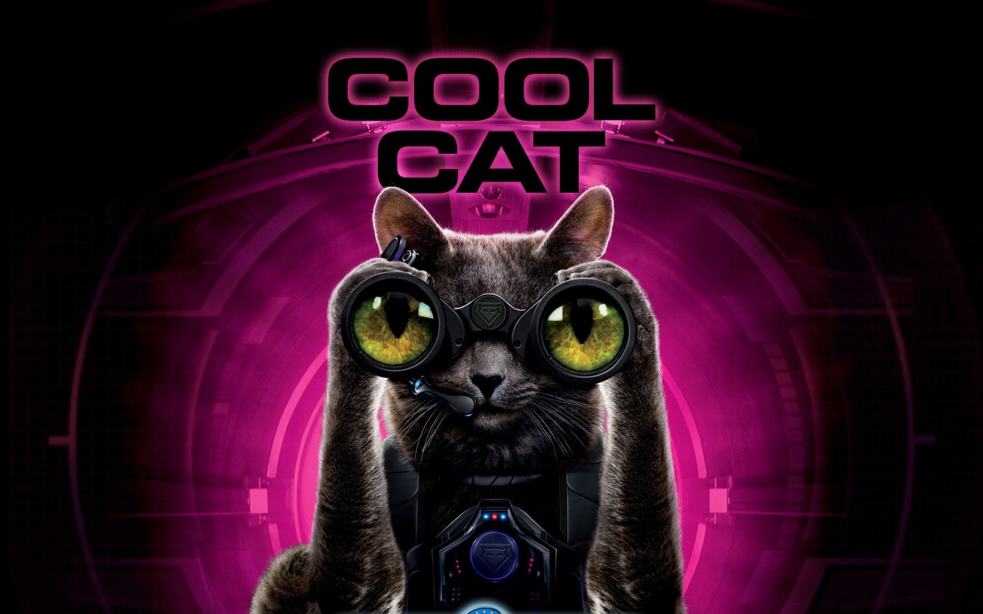 猫狗大战,影视,电影,2012Y十月30D,整蛊搞笑