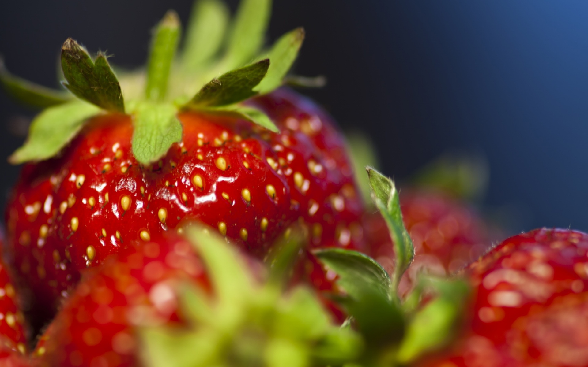 小清新,动感水果,草莓,儿童桌面专用